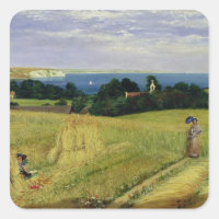 Corn Field in the Isle of Wight