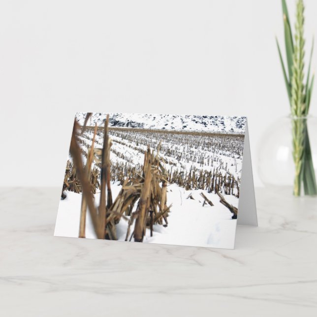 Corn Field Poetry Greeting Card (Front)