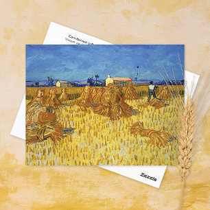 Corn Harvest Provence Vincent van Gogh Postcard