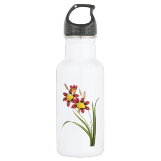 corn lily(Ixia tricolor) by Redouté 532 Ml Water Bottle