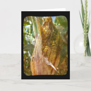 Corn On The Cob Card