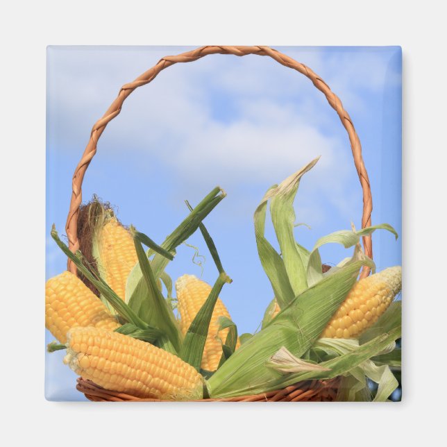 Corn on the Cob Magnet (Front)