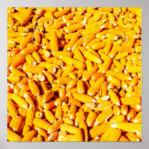 Corn on The Cob Poster