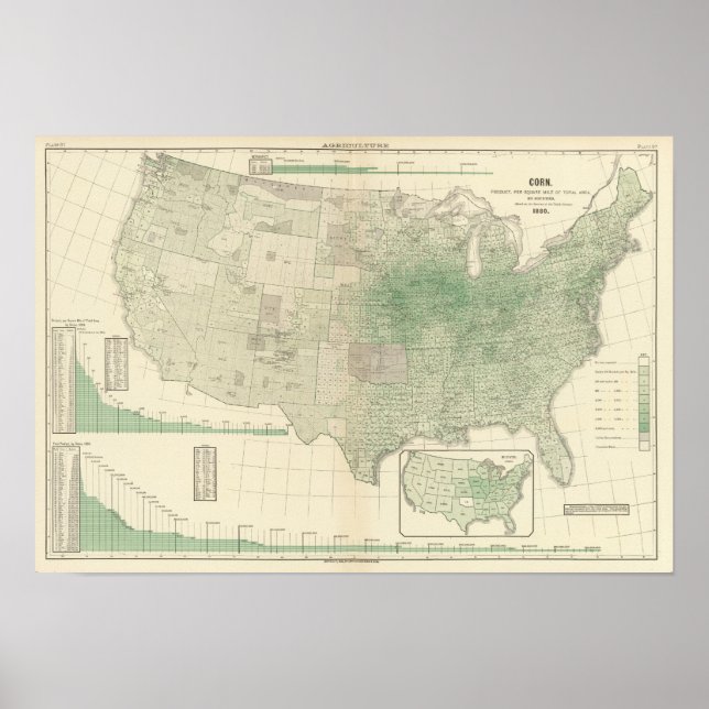 Corn per square mile poster (Front)