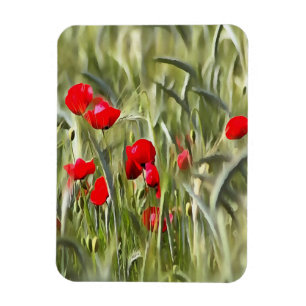 Corn Poppies Magnet