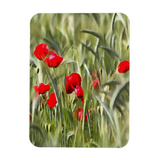 Corn Poppies Magnet