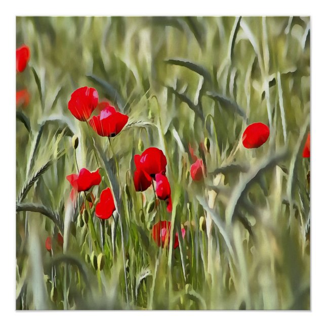 Corn Poppies Poster (Front)