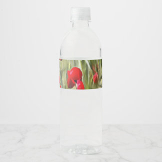 Corn Poppies Water Bottle Label
