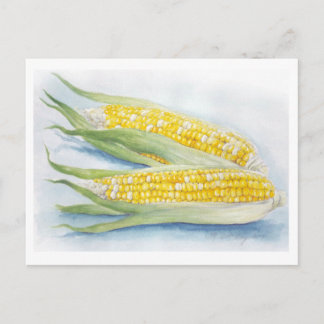 Corn Postcard