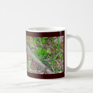 Corn Snake Mug