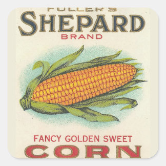 Corn Square Sticker