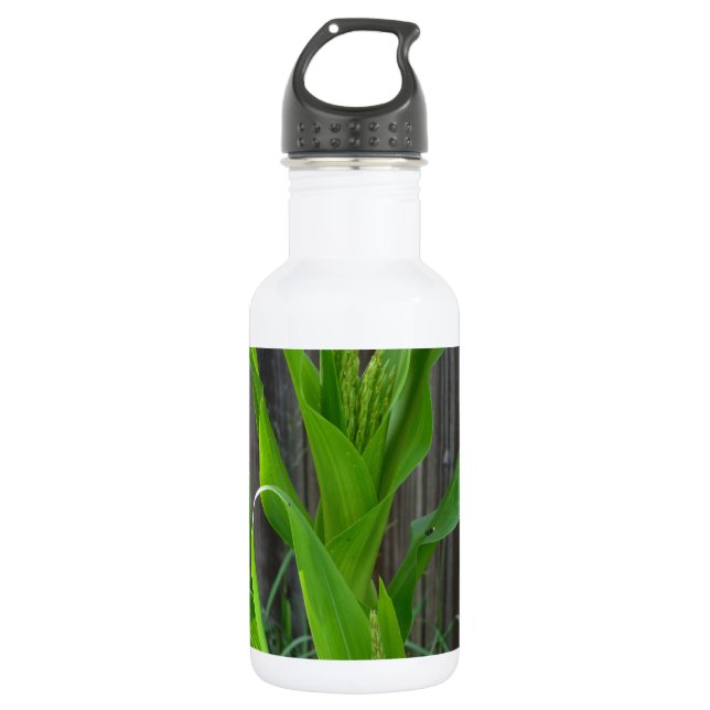 Corn Stalk 532 Ml Water Bottle (Front)