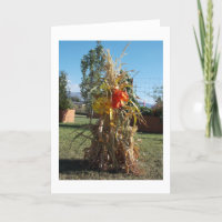 Corn Stalk Bundle In Garden Greeting Card