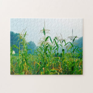 Corn Stalks Wisconsin. Jigsaw Puzzle