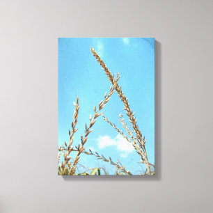 Corn Tassel Canvas Print