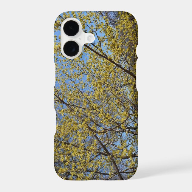 Cornelian Cherry Dogwood and Blue Sky Floral (Back)