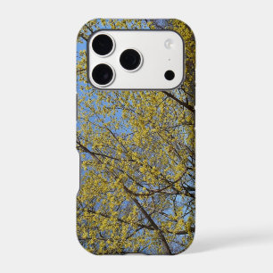Cornelian Cherry Dogwood and Blue Sky Floral