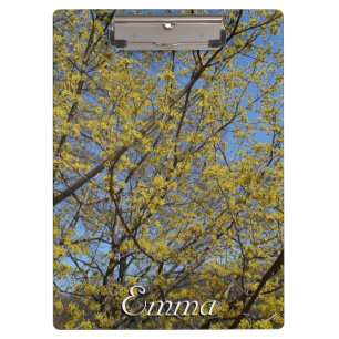 Cornelian Cherry Dogwood and Blue Sky Floral Clipboard