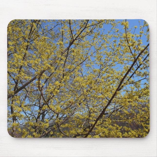 Cornelian Cherry Dogwood and Blue Sky Floral Mouse Mat (Front)