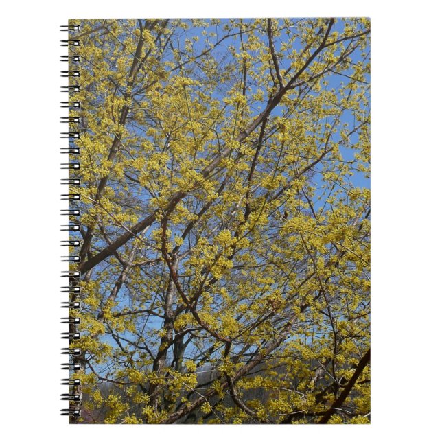 Cornelian Cherry Dogwood and Blue Sky Floral Notebook (Front)