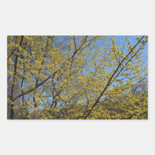 Cornelian Cherry Dogwood and Blue Sky Floral Rectangular Sticker
