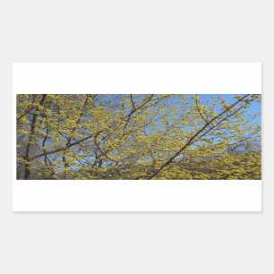 Cornelian Cherry Dogwood and Blue Sky Floral Rectangular Sticker