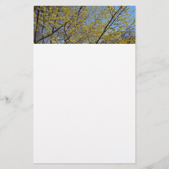 Cornelian Cherry Dogwood and Blue Sky Floral Stationery (Front)