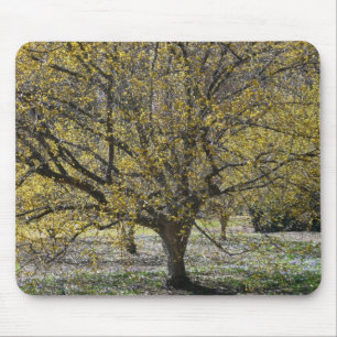 Cornelian Cherry Dogwood and Glory of the Snow Mouse Mat