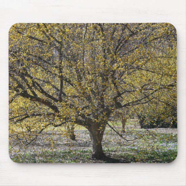 Cornelian Cherry Dogwood and Glory of the Snow Mouse Mat (Front)