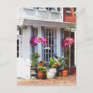 Corner of King Street and S Alfred Alexandria VA Postcard