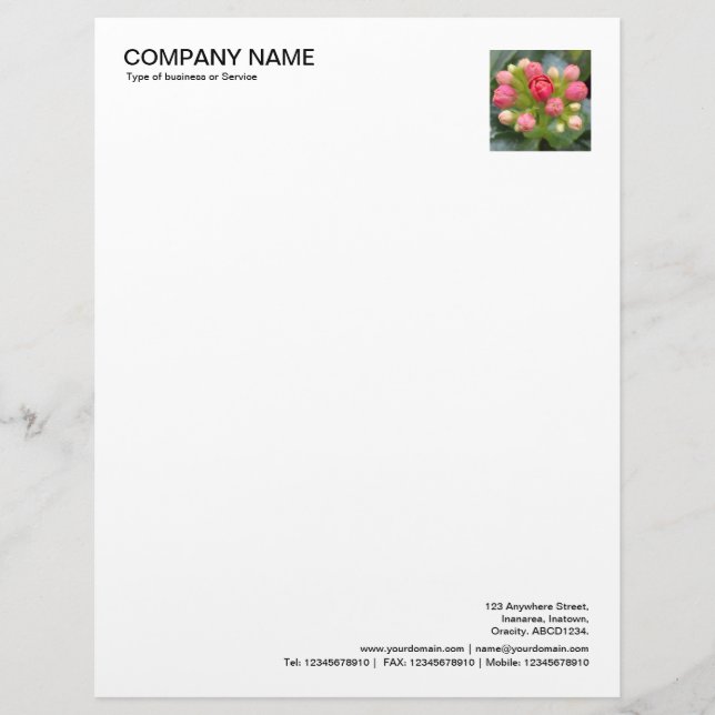 Corner Photo - Kalanchoe Buds Custom Letterhead (Front)