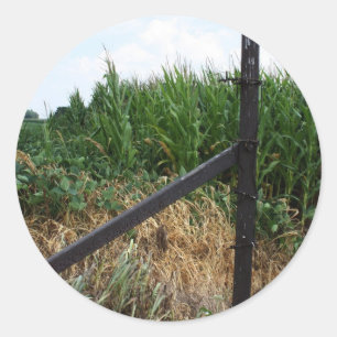 Cornfield Behind The Fence Classic Round Sticker