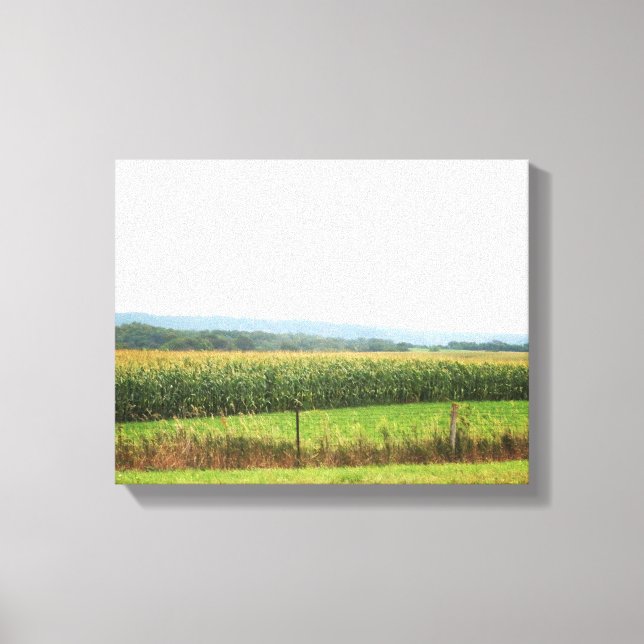 Cornfield Landscape with Trees on Horizon 11x14 Canvas Print (Front)