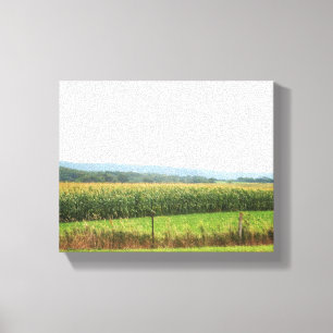Cornfield Landscape with Trees on Horizon 8x10 Canvas Print