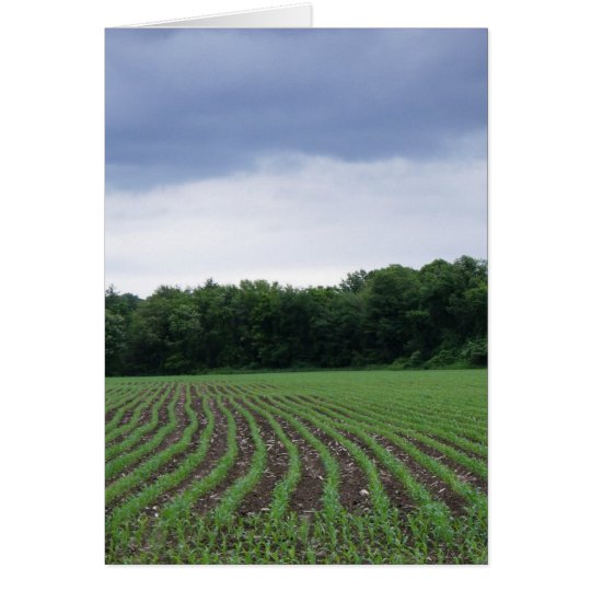 "Cornfields under the Clouds" Card