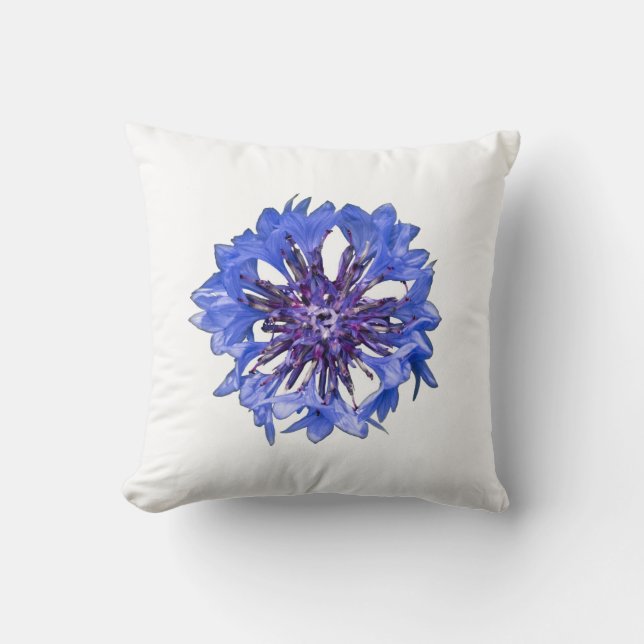 Cornflower, bachelor button cushion (Front)
