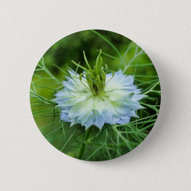 Cornflower Badge (Front)