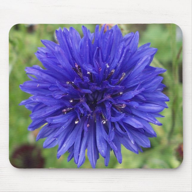 Cornflower Blue Boy Mouse Mat (Front)