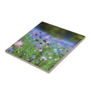 Cornflower Blue Decorative Tile