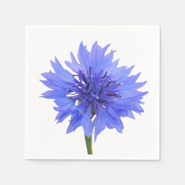 cornflower blue napkin (Front)