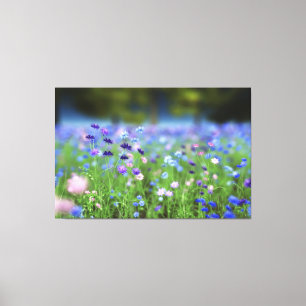 Cornflower Blue Wrapped Canvas