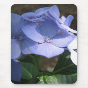 cornflower blues mouse mat