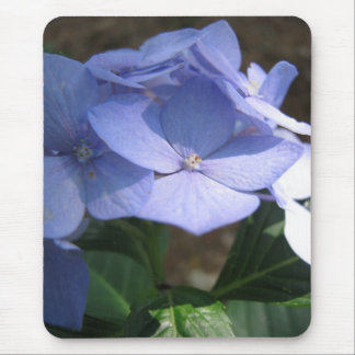 cornflower blues mouse mat