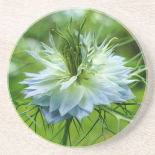 Cornflower Coaster