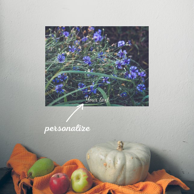 Cornflower field throw customisable poster (Creator Uploaded)
