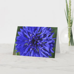 Cornflower Greeting Card