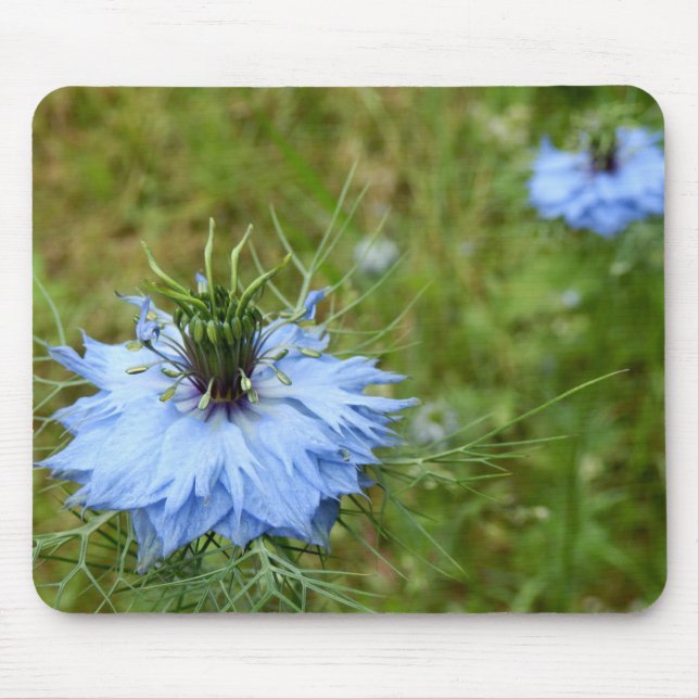 Cornflower Mouse Mat (Front)
