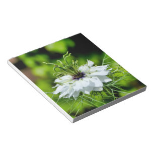 Cornflower Notepad