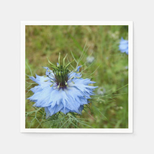 Cornflower Paper Napkins