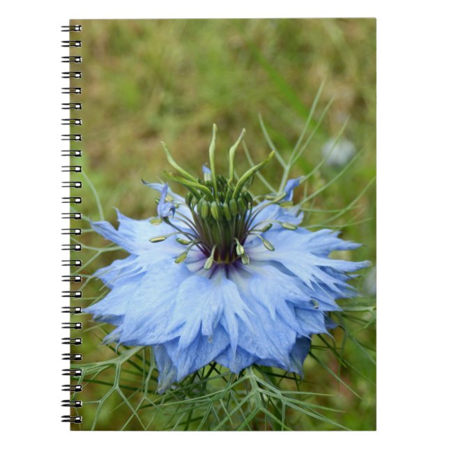 Cornflower Spiral Photo Notebook (Front)